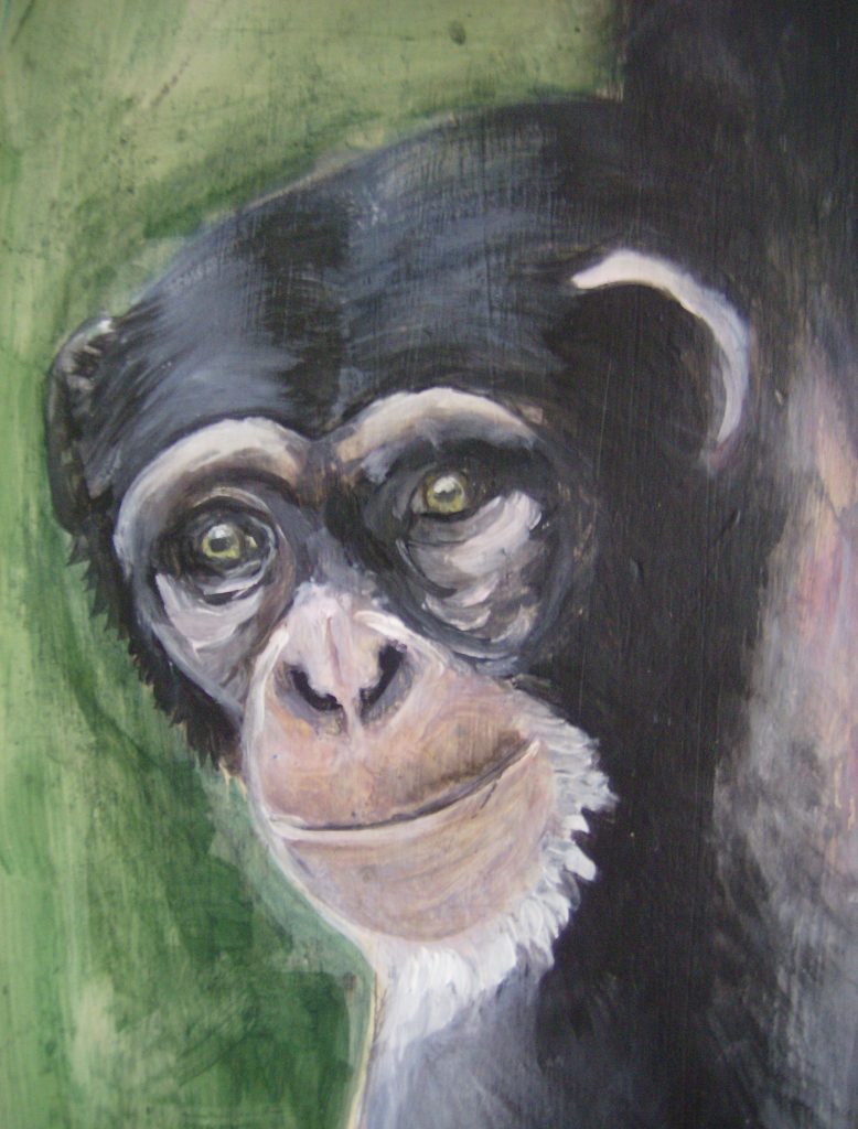 Schimpanse, Acryl auf Schranktür