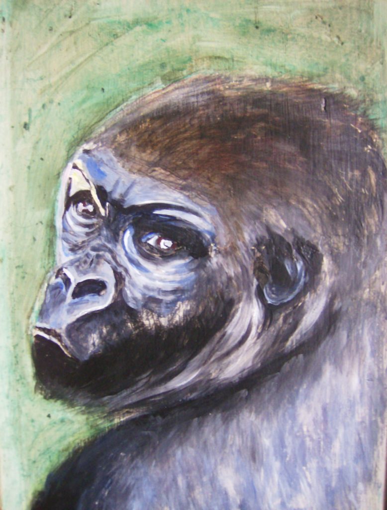 Gorillaportrait auf Schranktür