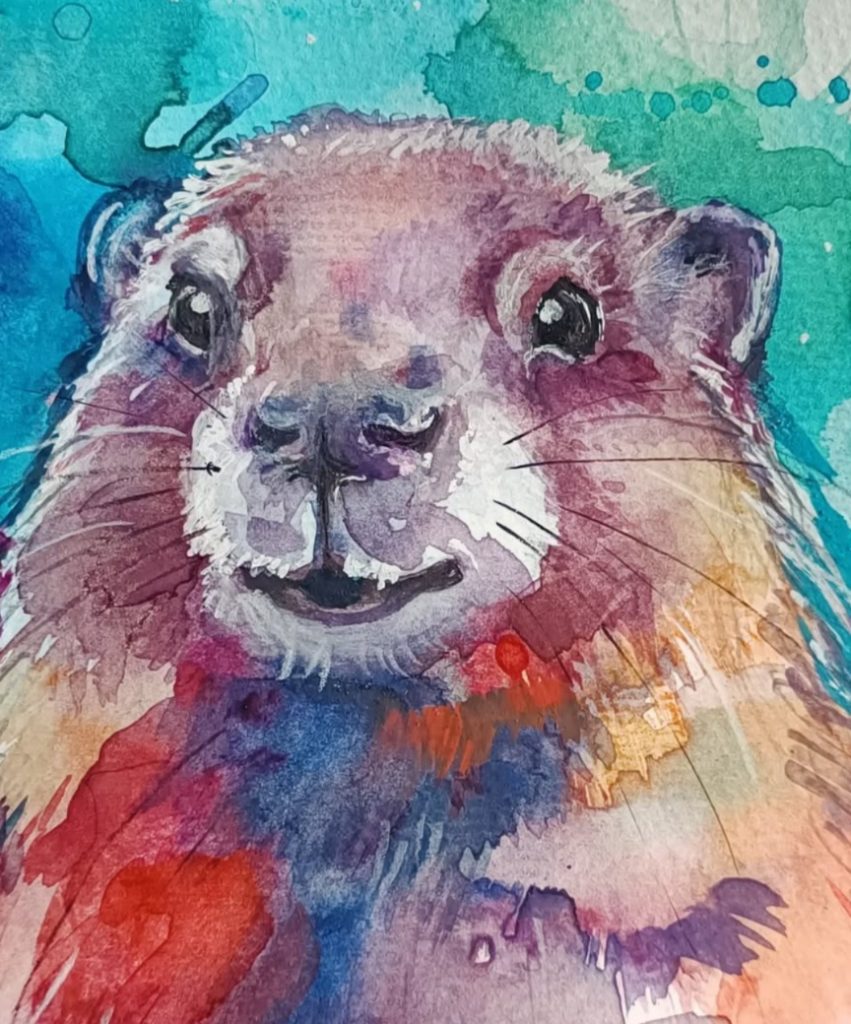 Murmeltier, buntes Aqarell
groundhog, colorful watercolor picture